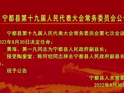 宁都县第十九届人民代表大会常务委员会公告